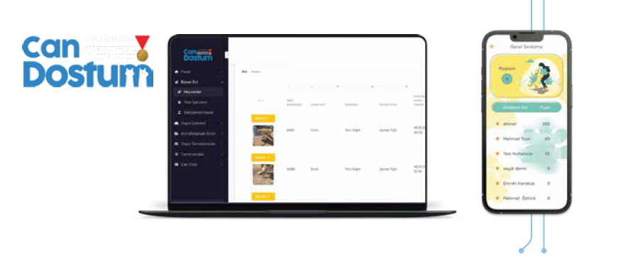 Hayvan Dostu Şehir Uygulamaları